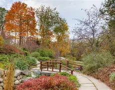 印第安纳步行者迎德国杯关键赛；窗口期篮板制胜；质疑声仍在；赛程密集仍需轮换的简单介绍